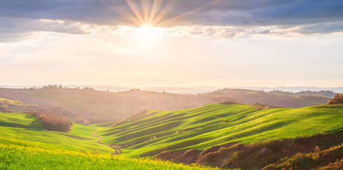 Décarbonation des portefeuilles : comment LBP AM accompagne les investisseurs institutionnels ?